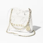 2025 Spring and Summer Preview Series CHANEL 22 Mini Handbag