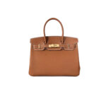 HERMES Togo Birkin 25 Handbag